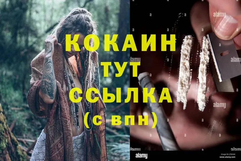  Cocaine Козловка